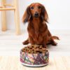 A Bowl Fit For Allie Dog - Image 2