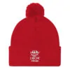 Pom-Pom Beanie - Image 5